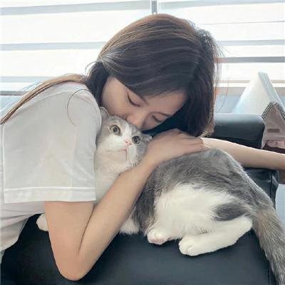 狼皮之下